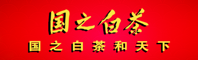 国之白茶