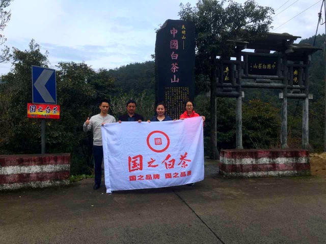 国之白茶