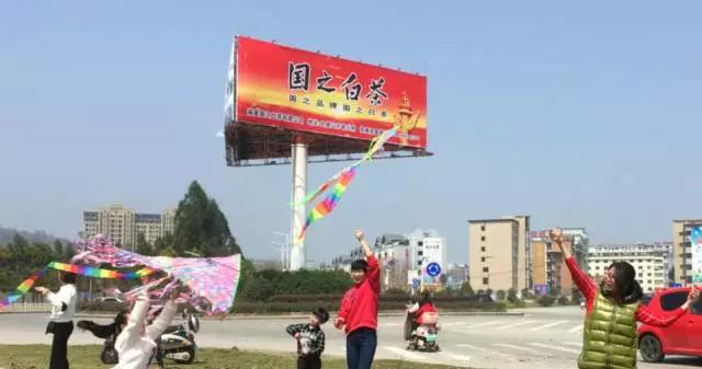 国之白茶
