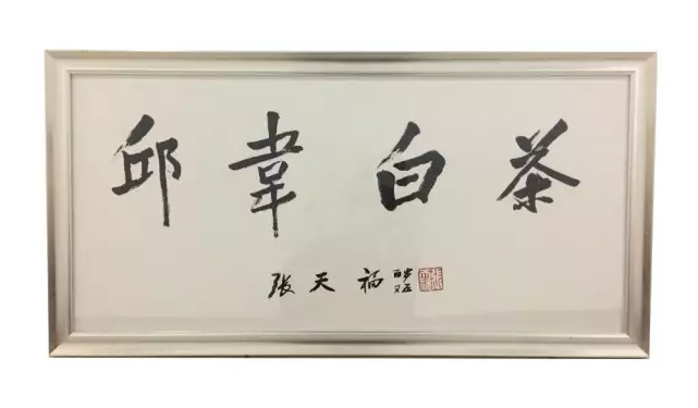 国之白茶