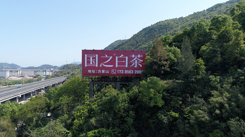 国之白茶 国之白茶