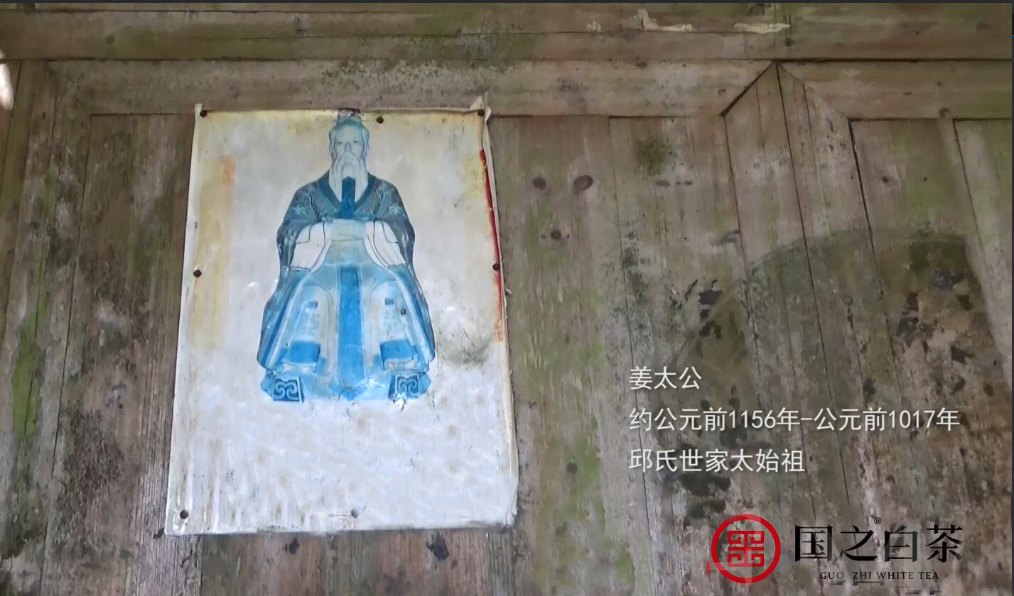 国之白茶