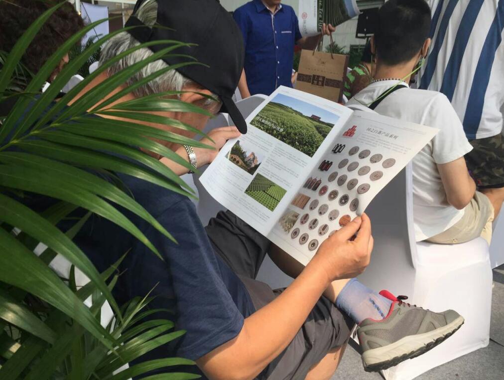 国之白茶