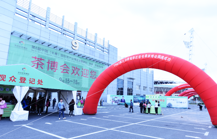 国之白茶