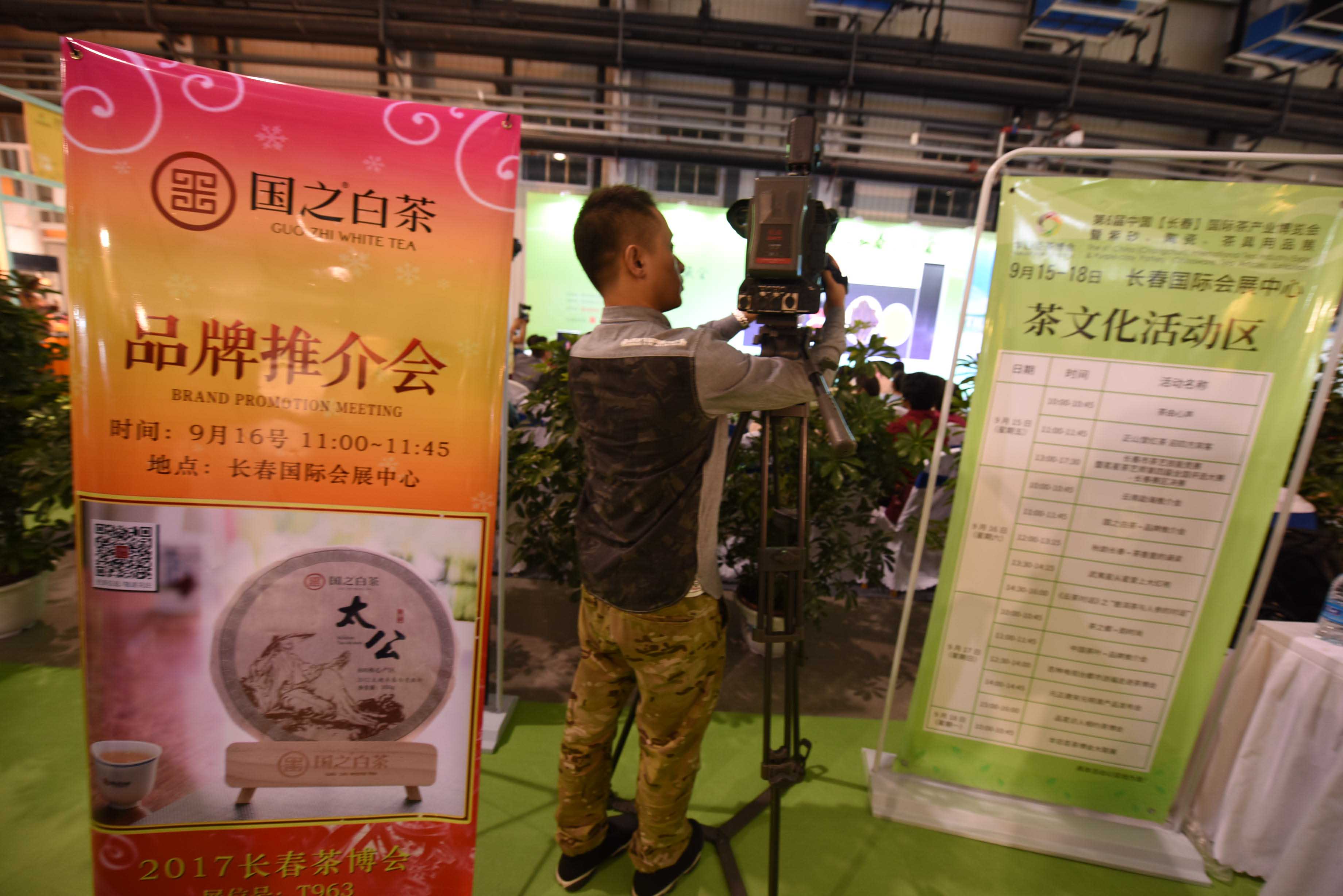 国之白茶