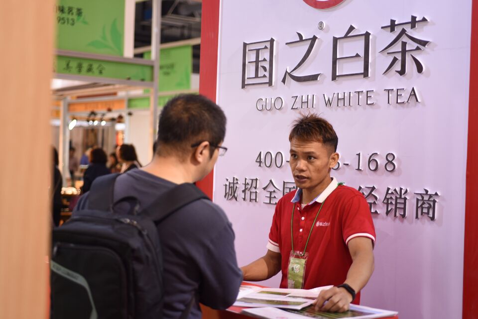 福鼎白茶