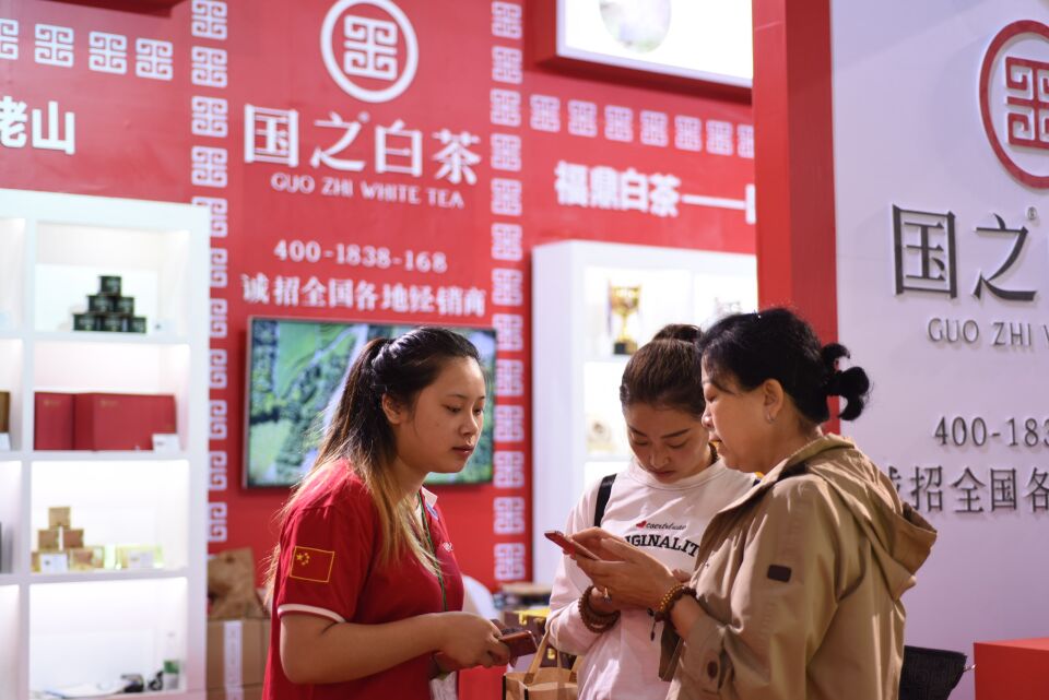 福鼎白茶