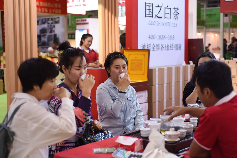 福鼎白茶