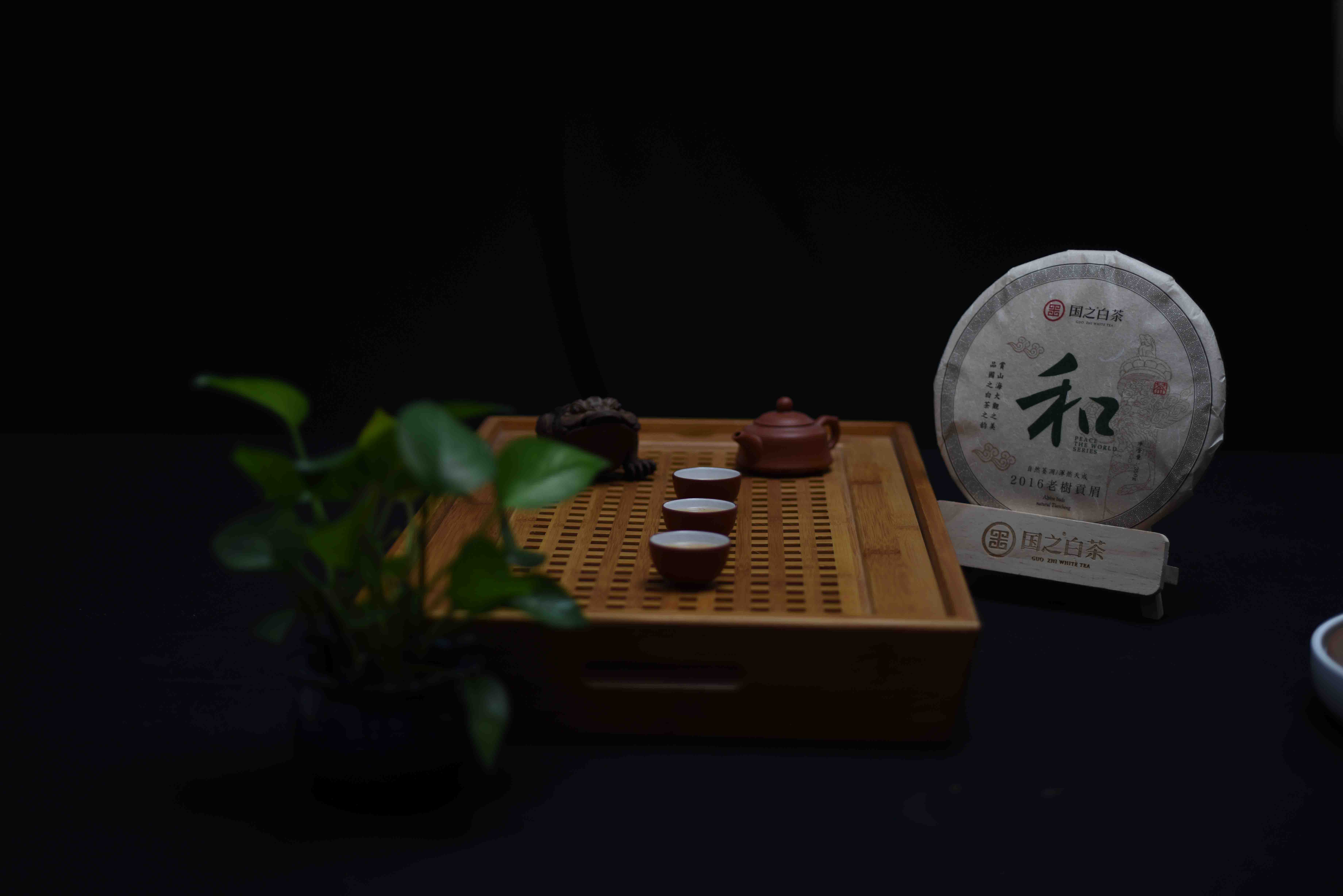 国之白茶