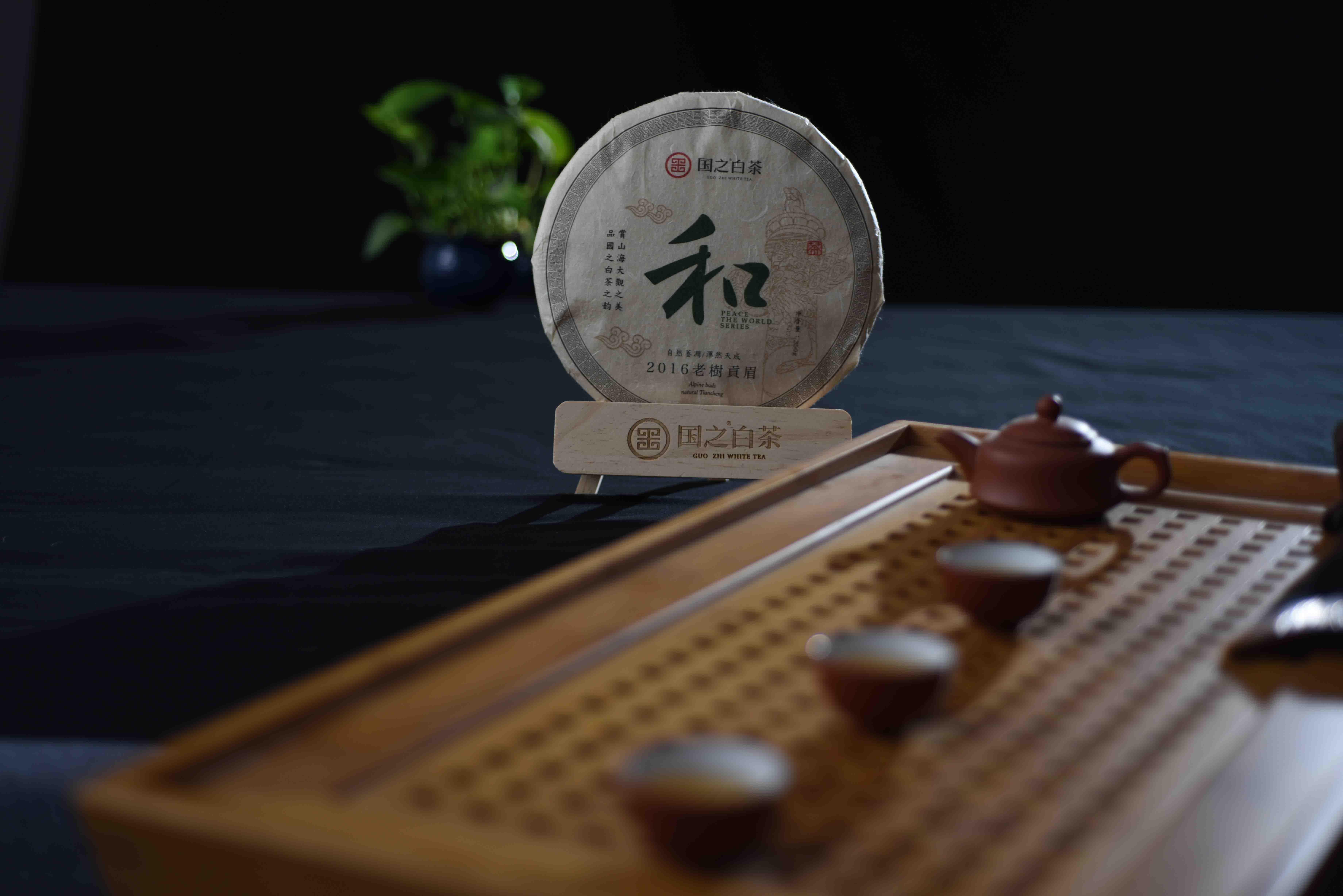 国之白茶